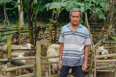 Orta yaşlı Endonezyalı sığır çobanı arkasında kurban olarak hayvan keçileri ile ciddi bir ifadeyle poz veriyor. Kurban Bayramı kavramı.