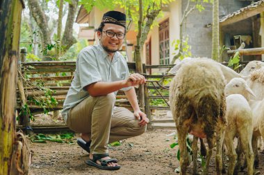 Asyalı genç Müslüman adam çiftlik hayvanlarının keçilerini beslemek için ot dağıtıyor, kurbanlara hazırlanıyor. Kurban Bayramı kavramı.