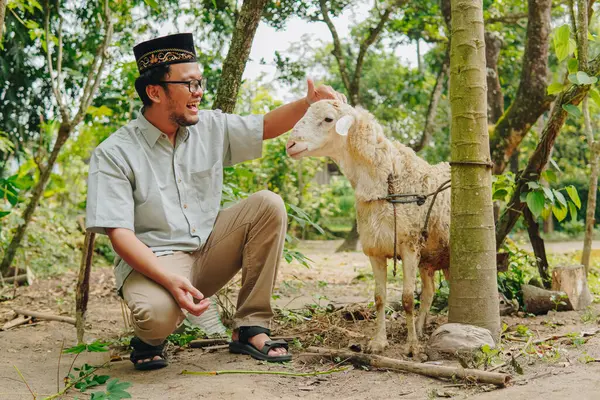 stock image Handsome Asian Muslim man touching goat's head feeling excited, nature background. Eid Al Adha concept.