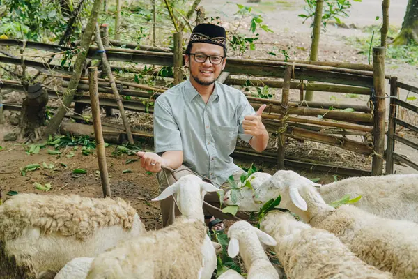 stock image Smiling Asian Muslim man giving thumbs up gesture with livestock goats around for sacrifices. Eid Al Adha concept.