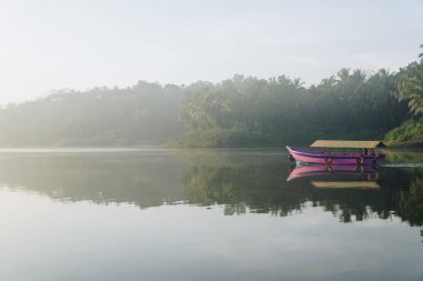 Sermo Gölü, Yogyakarta, Endonezya 'da sisli bir gökyüzü ve doğa geçmişi olan sakin bir göl üzerinde sabah manzarası var..
