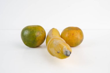A banana wrapped with condom is next to two oranges as a symbol of male penis. Sex education concept.