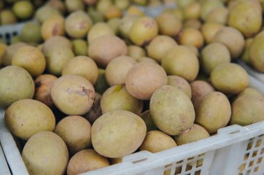 Geleneksel meyve pazarında sapodilla meyveleriyle dolu sepetlerin portresini kapat..