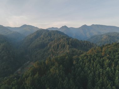 Dieng, Wonosobo, Endonezya 'daki sabah orman tepelerinin hava manzarası.