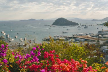 Labuan Bajo 'daki Puncak Waringin' den güzel bir deniz manzarası ve arka planda birçok tekne ve ada var..