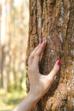 Ormanda bir ağaç gövdesine dokunan Asyalı bir kadının elini kapat..