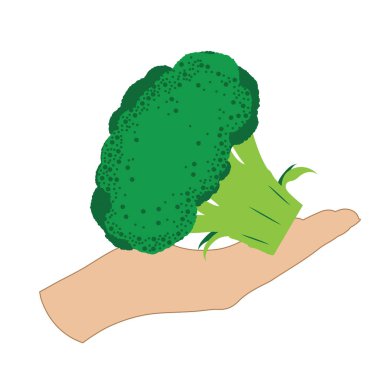 Beyaz arka planda brokoli olan bir elin vektör çizimi. Sebze, vejetaryen, yiyecek, mahsul, taze vejetaryen sembolü.