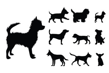 Beyaz arka planda küçük köpeklerin toplanma vektörleri. Hayvan sembolü, evcil hayvan, köpek, logo, işaret.