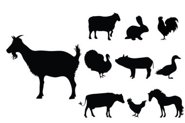 Collection vectors of domestic animal on white background. Symbol of goat, sheep, rabbit, hen, rooster, pig, cow, horse, farm,breeding, logo, sign. clipart