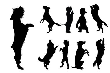 Beyaz arka planda köpek koleksiyonu vektörleri. Hayvan sembolü, evcil hayvan, köpek, logo, işaret.