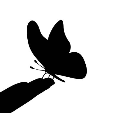 Beyaz arka planda oturan kelebeğin vektör silueti. Hayvanların, böceklerin, sineklerin, göçmenlerin, insanların, özenin sembolü..