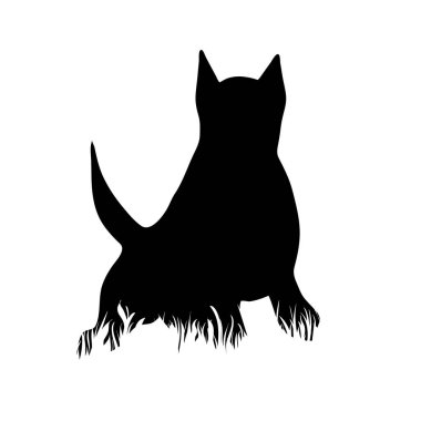 Beyaz arka planda çimlerde köpek silueti var. Hayvanın sembolü, evcil hayvan, koş, doğa, park, bahçe.