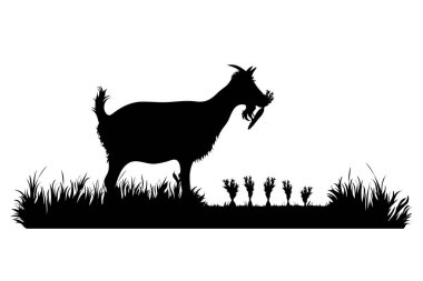 Keçi silueti bahçede havuç yiyor. Hayvan sembolü, tarla, çiftlik, yok etme, şirket, haşere.