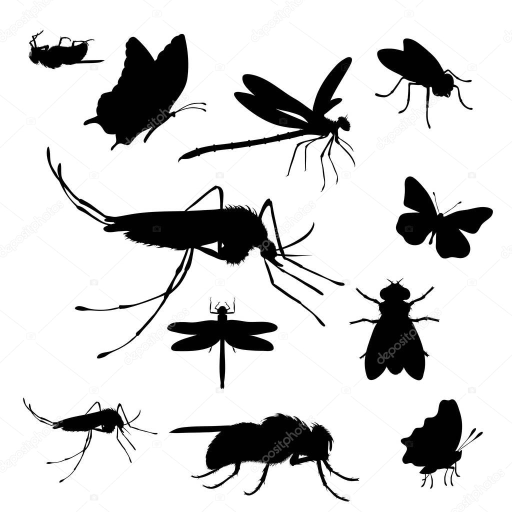 Vector silhouette of collection of flying insect on a white background.