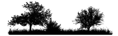 Beyaz arka planda ağaç olan çayır silueti. Çimenli doğanın sembolü.