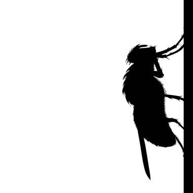 Beyaz arka planda duvarda oturan sineğin vektör silueti. Sinir bozucu böceğin sembolü.