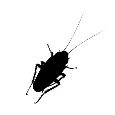 Vector silhouette of cockroach on white background. Symbol of annoying insect. clipart