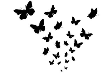 Beyaz arka planda kelebeklerin vektör silueti. Doğanın ve böceğin sembolü.