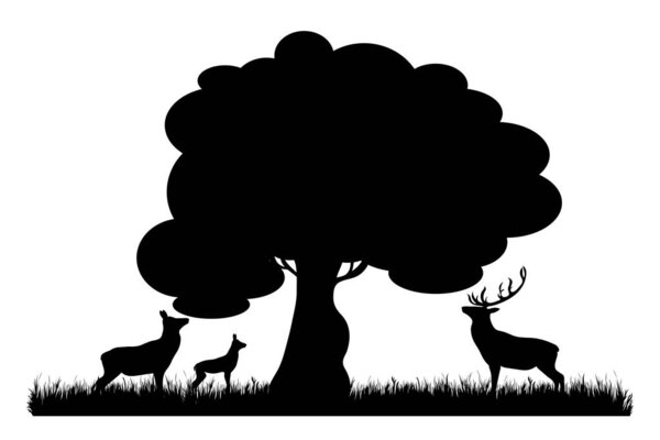 Vector silhouette of family of deer on meadow on white background. Symbol of nature and wild animals.