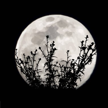 Ay arka planında çayırların vektör silueti. Gecenin sembolü..