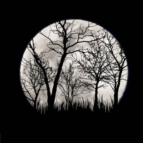 Vector silhouette of forest with moon background. Symbol of night.