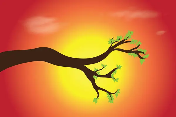 日没時に枝のベクトルシルエット 自然のシンボル — ストックベクタ