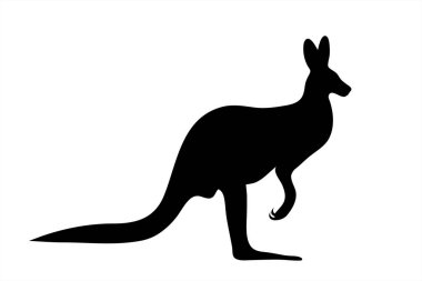 Beyaz arka planda kangurunun vektör silueti. Hayvanın sembolü.