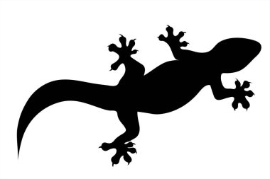 Beyaz arkaplanda kertenkele silueti var. Hayvanın sembolü.