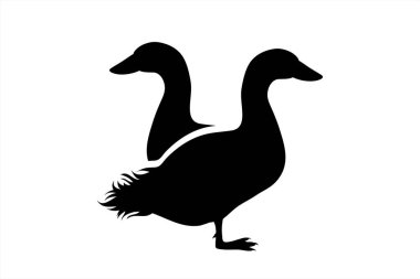 Bir çift ördeğin vektör silueti. Kümes hayvanlarının sembolü.