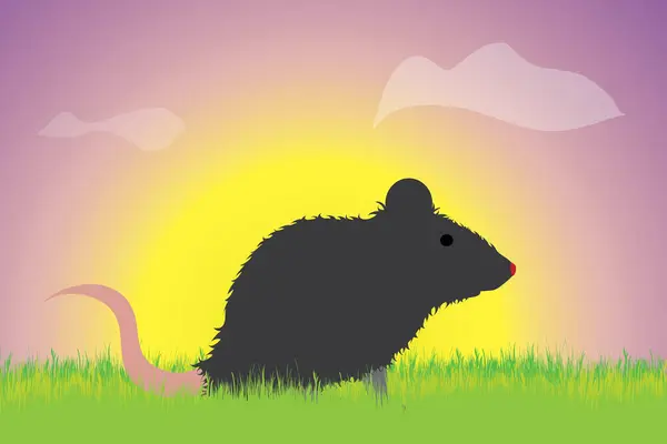 stock vector Vector silhouette of mouse in the grass at sunset. Symbol of animal.