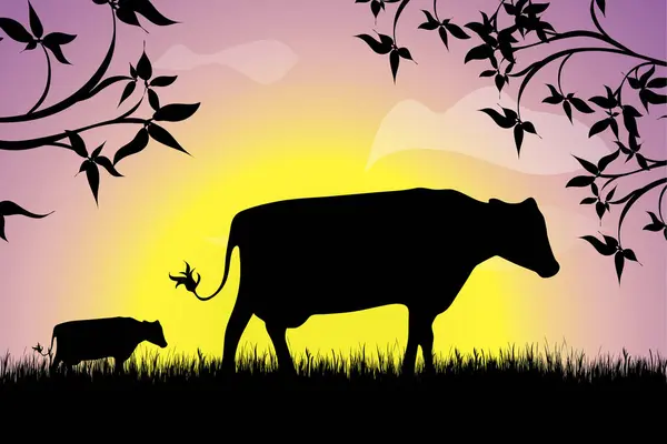 Gün batımında çimlerin üzerinde bir grup ineğin vektör silueti. Çiftliğin sembolü.