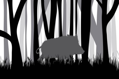 Siyah beyaz orman silueti ve yaban domuzu. Hayvan ve avın sembolü.