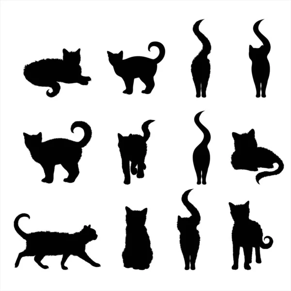 白い背景に猫のコレクションのベクトルシルエット 家畜とペットのシンボル — ストックベクタ