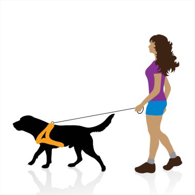 Köpekle yürüyen bir kadının vektör çizimi. Evcil hayvan ve hayvan sembolü.