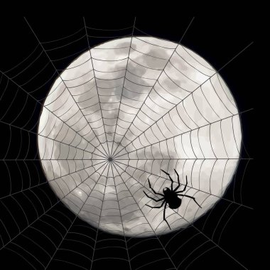 Ay arka planında örümcek ağı olan örümceğin vektör silueti. Gecenin ve vahşi yaşamın sembolü..