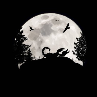 Ay arka planında akrebin vektör silueti. Gecenin ve vahşi hayvanın sembolü.