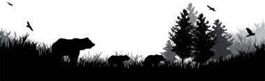 Ormandaki aile ayısının vektör silueti. Vahşi ve doğanın sembolü..