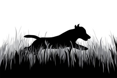Çimlere atlayan köpeğin vektör silueti. Doğanın ve vahşiliğin sembolü..