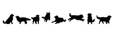 Beyaz arka planda bir grup köpeğin vektör silueti. Hayvan ve evcil hayvan sembolü.