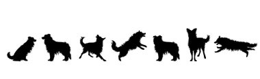 Beyaz arka planda bir grup köpeğin vektör silueti. Hayvan ve evcil hayvan sembolü.