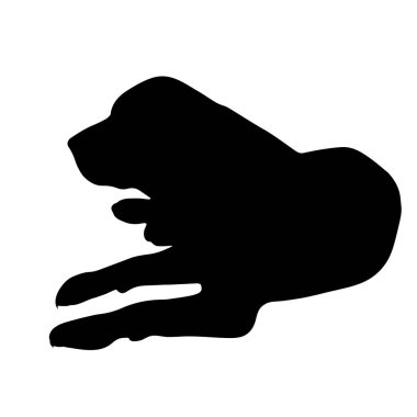 Beyaz arka planda köpeğin vektör silueti. Labrador ve evcil hayvanın sembolü.