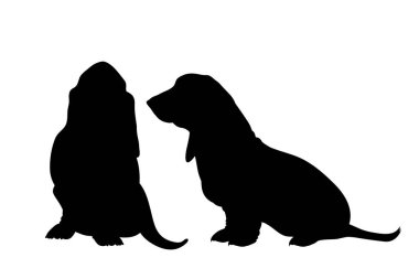 Beyaz arkaplanda Basset 'in vektör silueti. Köpek ve evcil hayvanın sembolü.