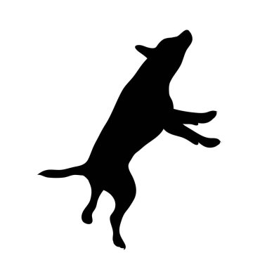 Beyaz arka planda Jack Russell Terrier 'ın vektör silueti. Köpek ve evcil hayvanın sembolü.