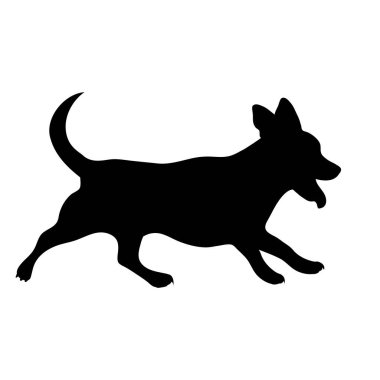 Beyaz arka planda Jack Russell Terrier 'ın vektör silueti. Köpek ve evcil hayvanın sembolü.