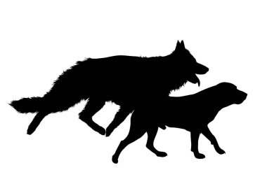 Beyaz arka planda Labrador Retriever olan Alman Çoban Köpeğinin vektör silueti. Köpek ve evcil hayvanın sembolü.