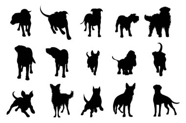 Beyaz arka planda köpeklerin vektör silueti. Köpek ve evcil hayvanın sembolü.