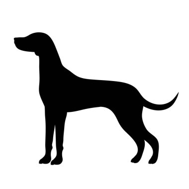 Beyaz arka planda köpeğin vektör silueti. Evcil hayvanın sembolü.