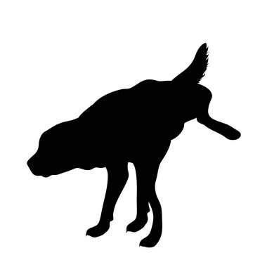 Beyaz arka planda işeyen köpeğin vektör silueti. Evcil hayvanın sembolü.