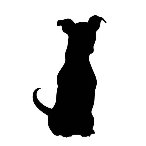 白色背景的杰克 鲁塞尔猎犬的矢量轮廓 狗和宠物的象征 — 图库矢量图片#