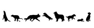 Beyaz arka planda farklı köpeklerin vektör silueti. Köpek ve evcil hayvanın sembolü.
